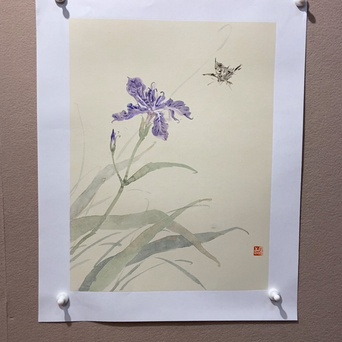 【闪购商品】国画墨鱼精品墨鱼精品