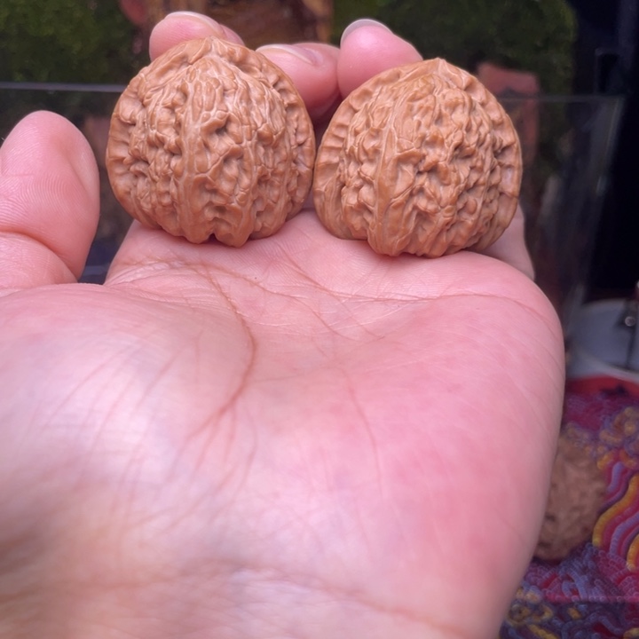 三角白  全品无修  36