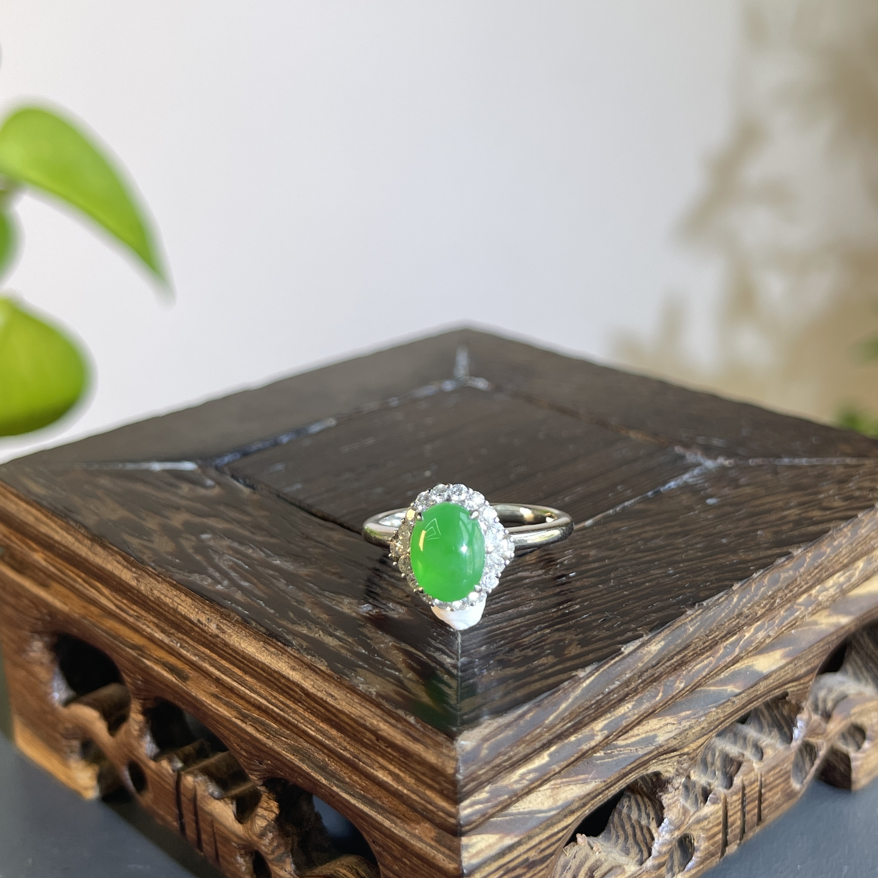 JTA23-178   天然缅甸A货翡翠  18K含钻镶嵌戒指14#