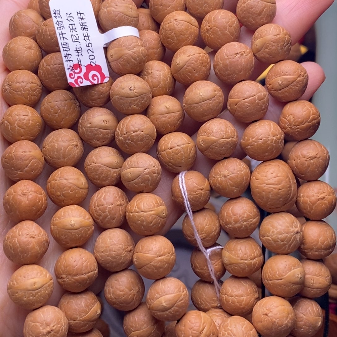 凤眼菩提手串12➕脖挂新籽