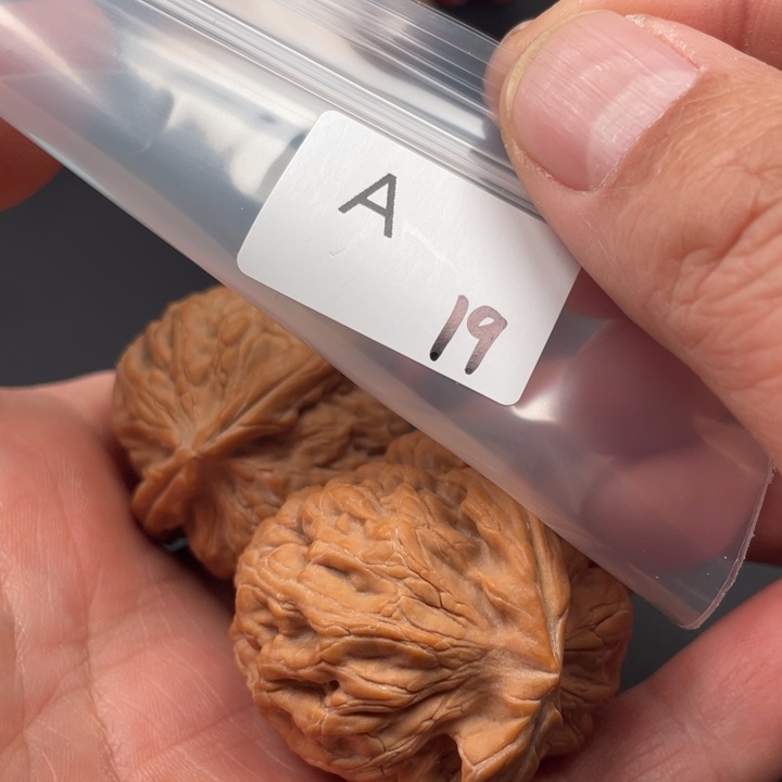 文玩核桃吊坠l****n红锦鲤43