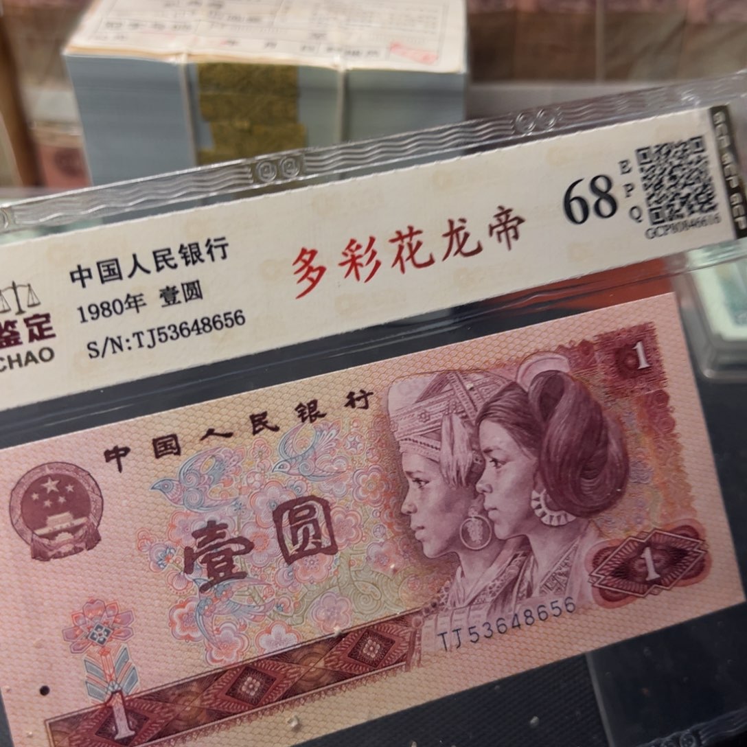 多彩花帝龙一张一张一张