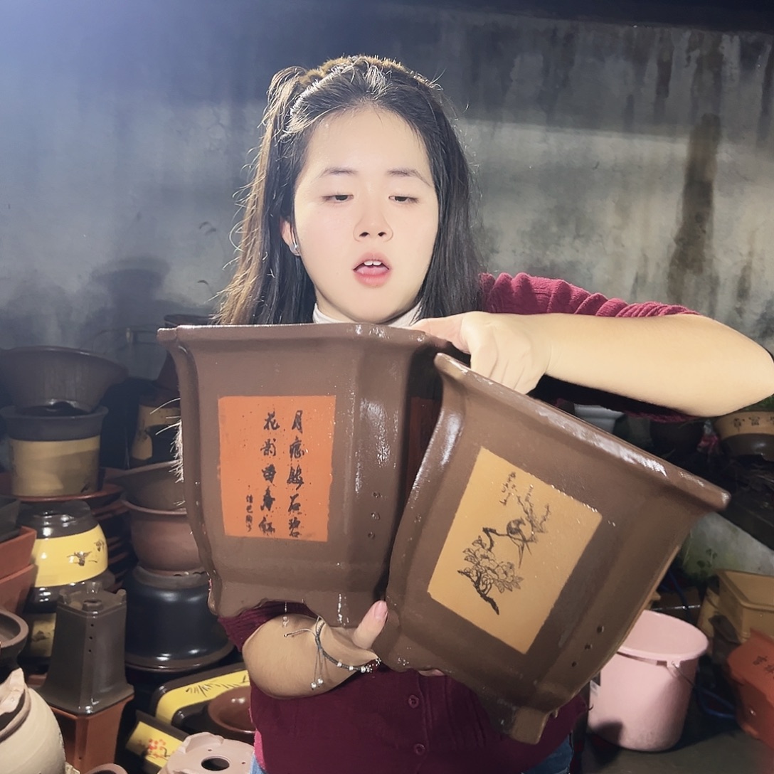 看图发货花盆花盆花盆花盆