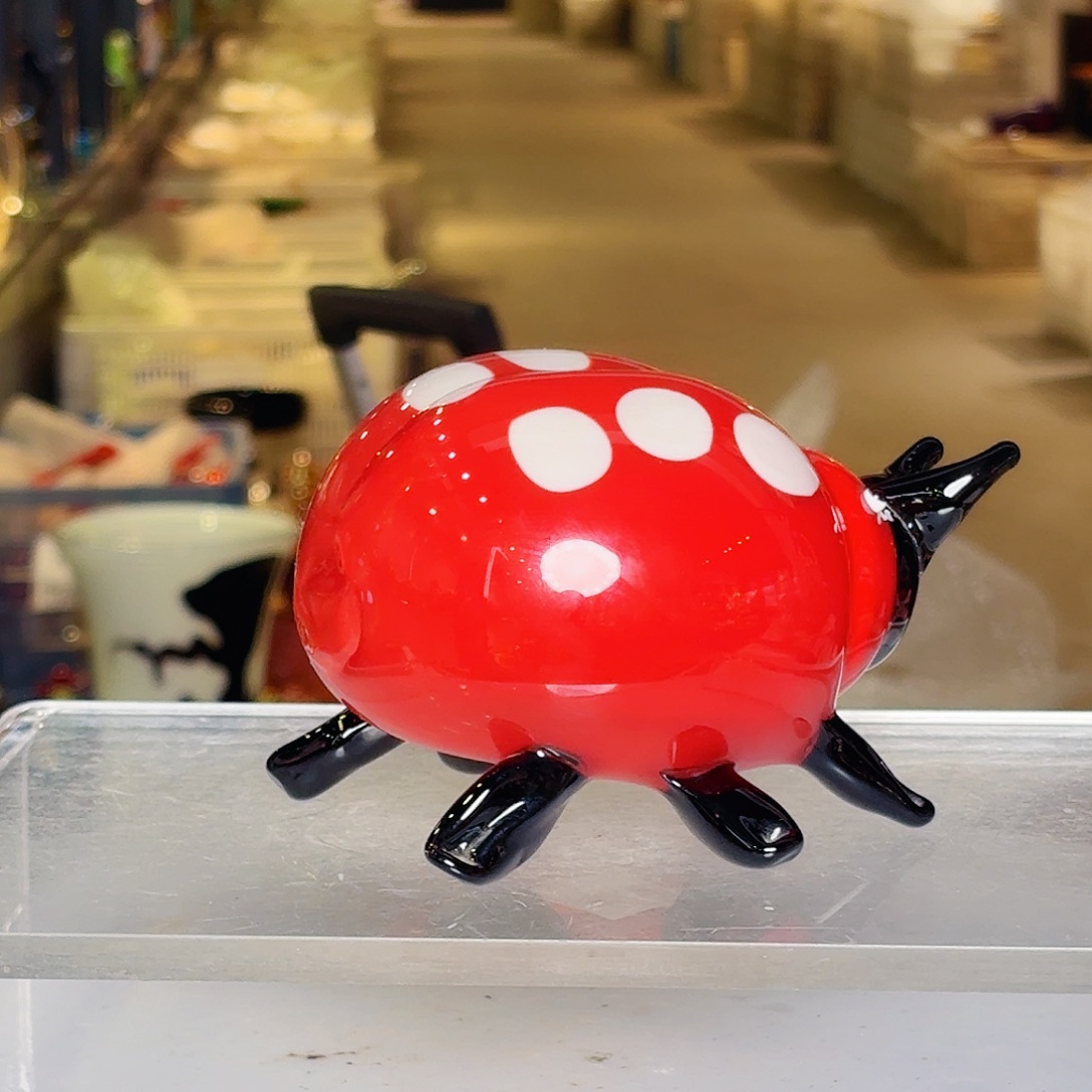 茶宠琉璃岛上有个叫小