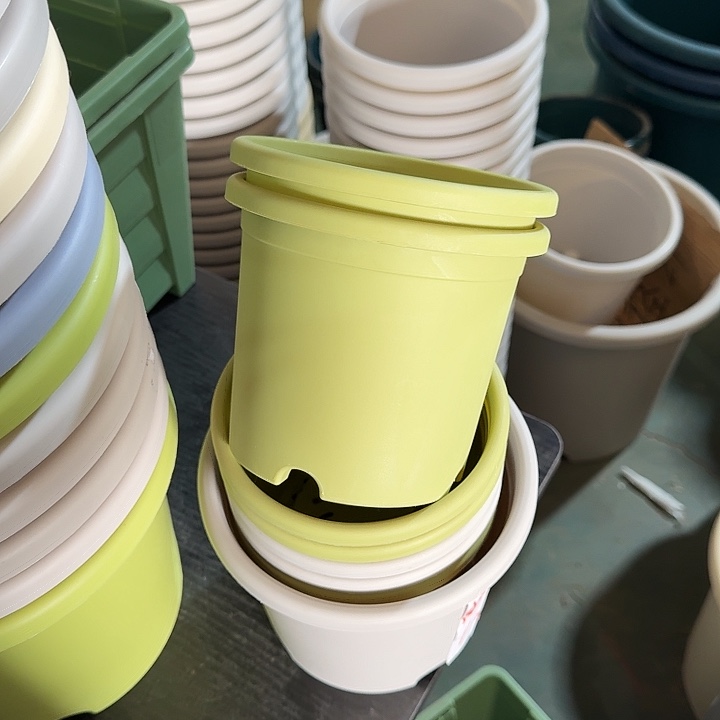 四季1#果绿10个无托