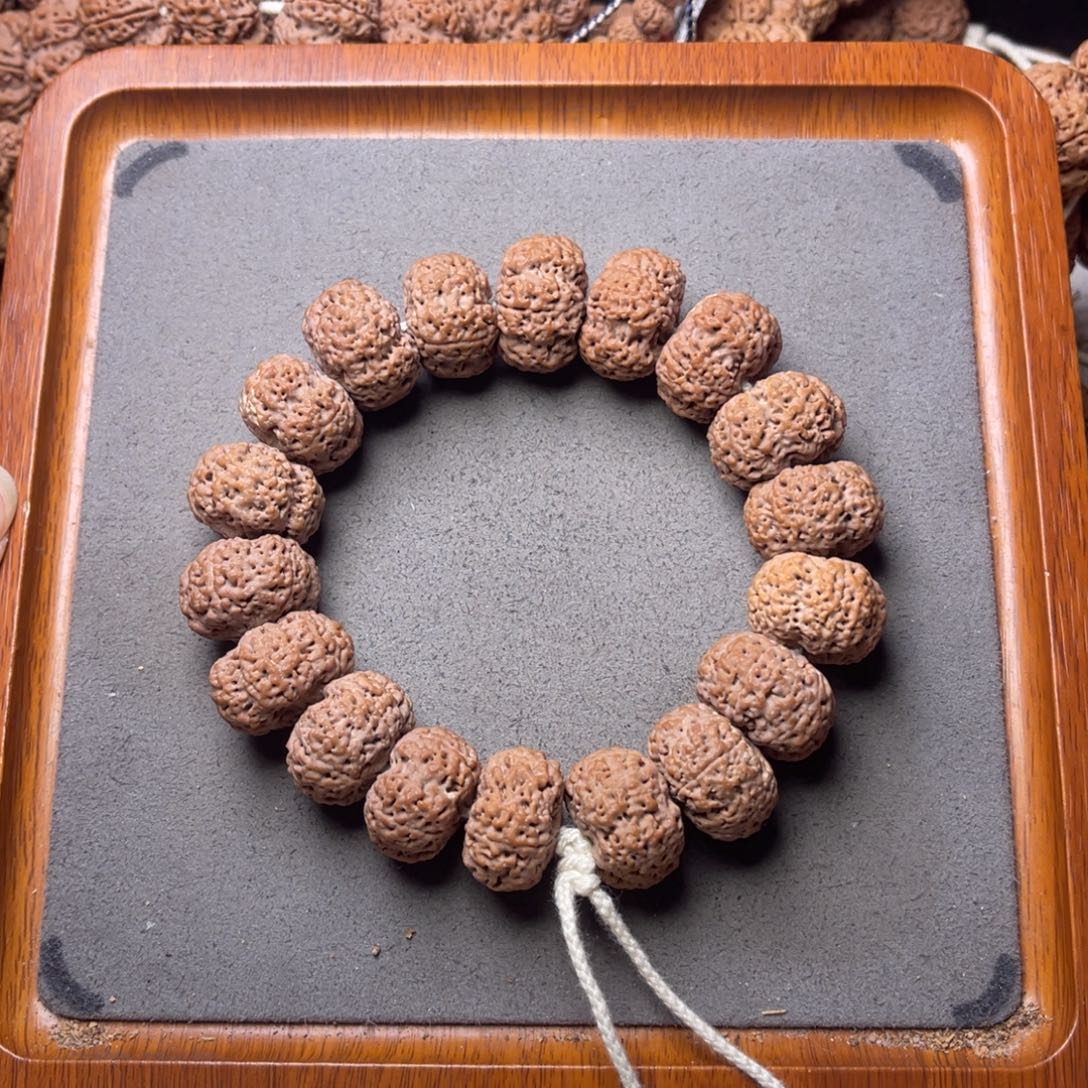 菩提籽类20号金刚菩提夹板菠萝蜜22