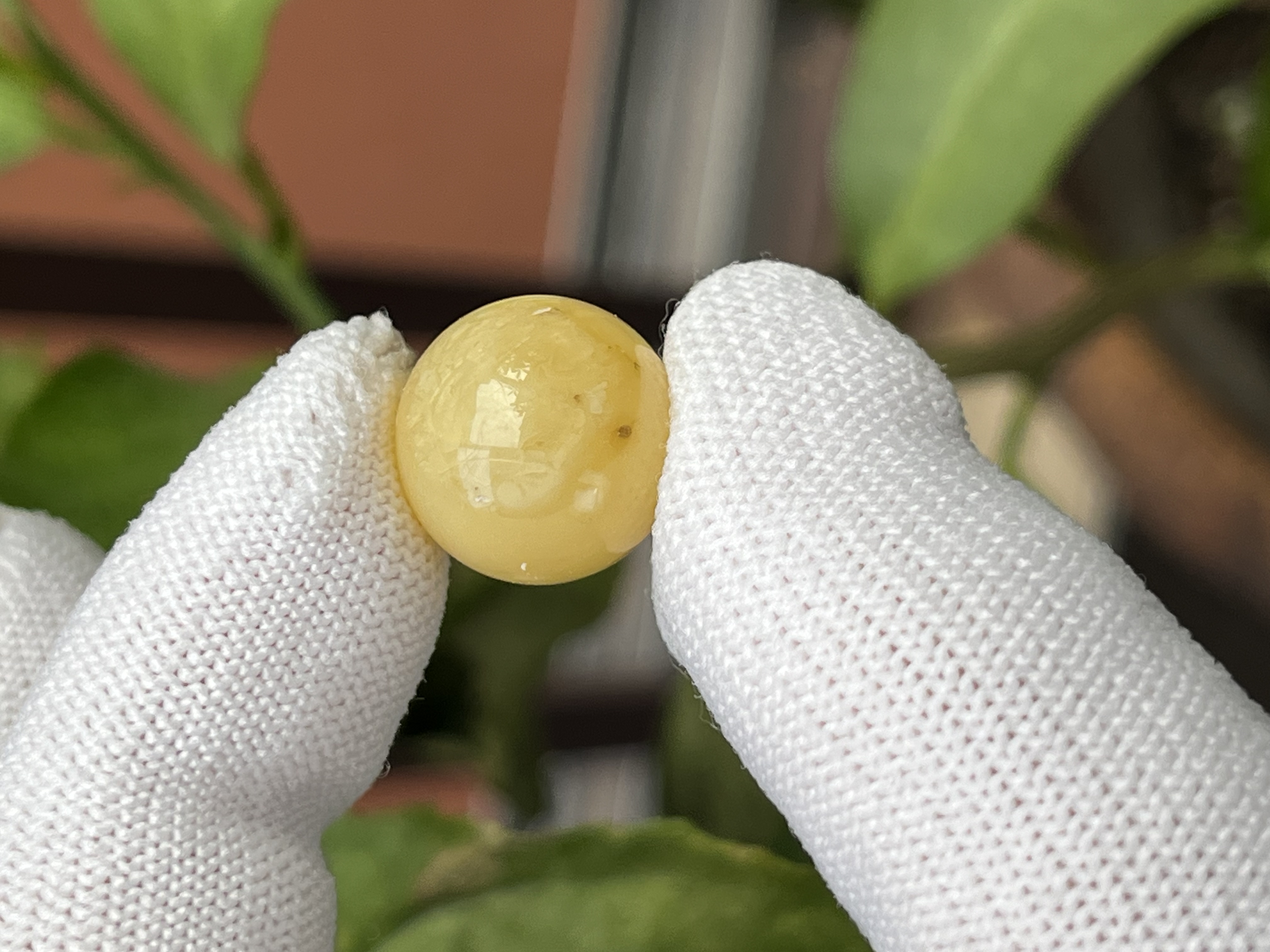 4362天然蜜蜡琥珀圆珠15mm