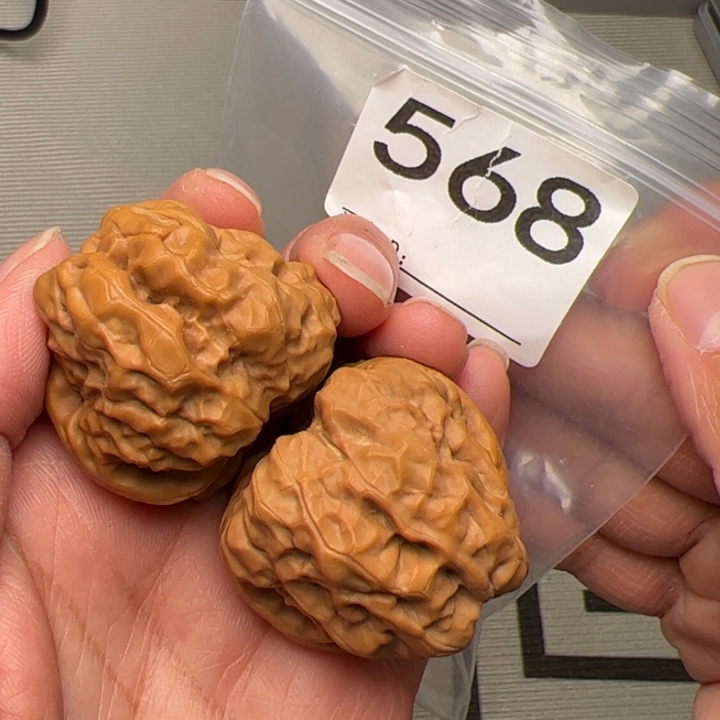 核桃边38肚42尺568号