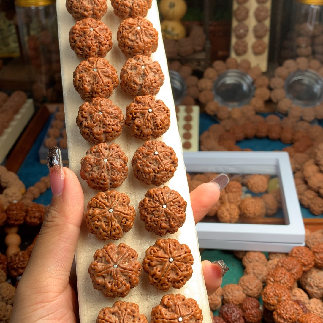 手串金刚菩提幻影梅花