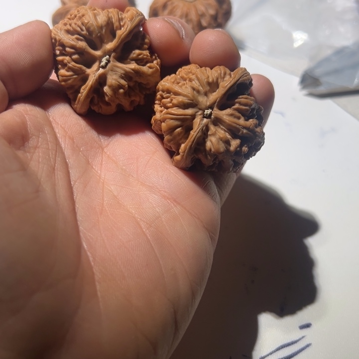 你***人文玩核桃把件粗筋