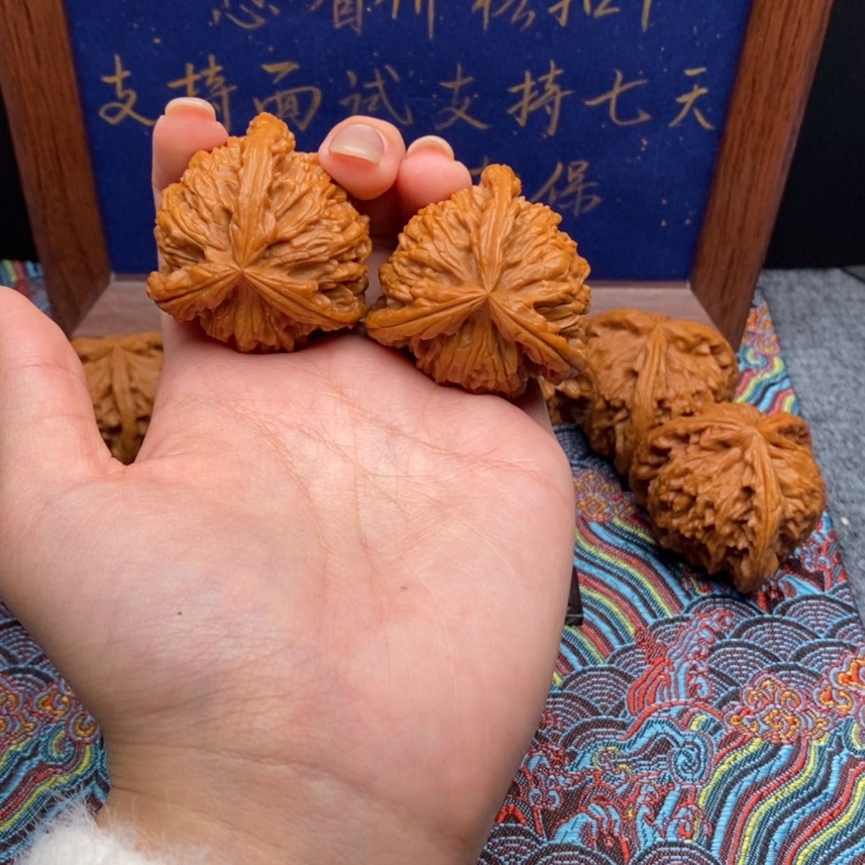 【闪购商品】阿****）白狮