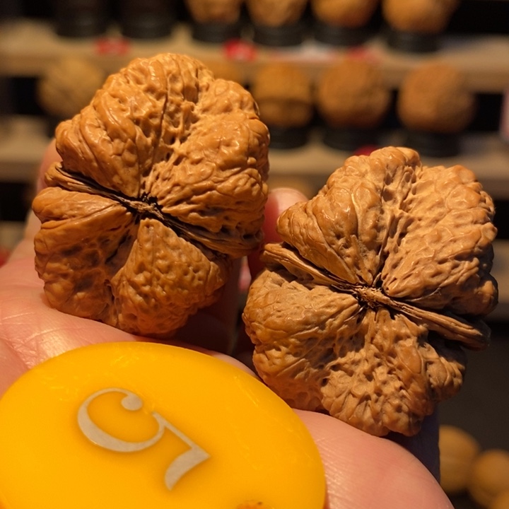 木质类老树开背蝴蝶蟾40尺寸