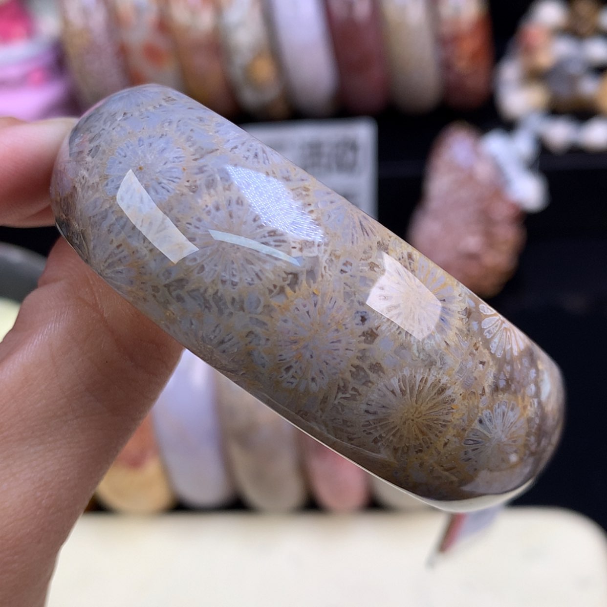 【闪购商品】颈饰未镶嵌硅化珊瑚（珊瑚玉）16号精美手镯54.8圈