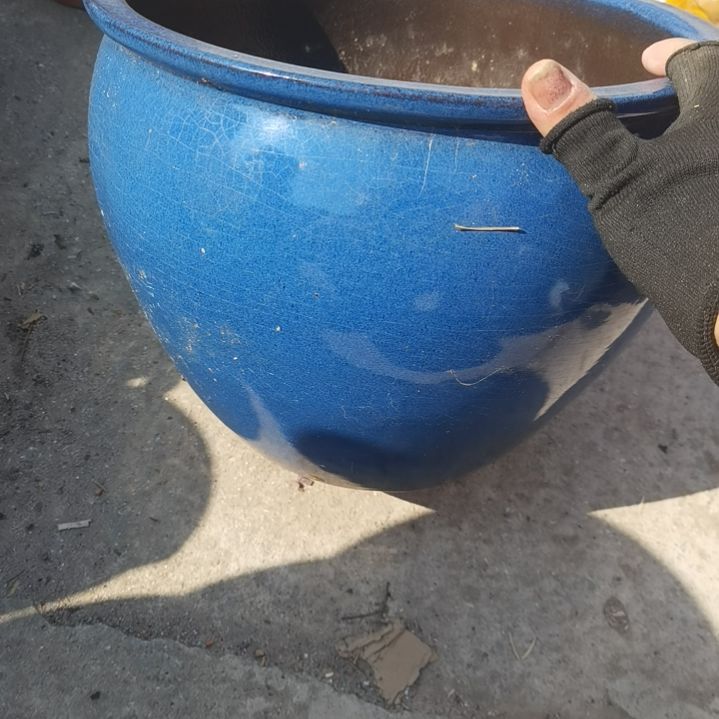 红陶31/24瑕疵一个