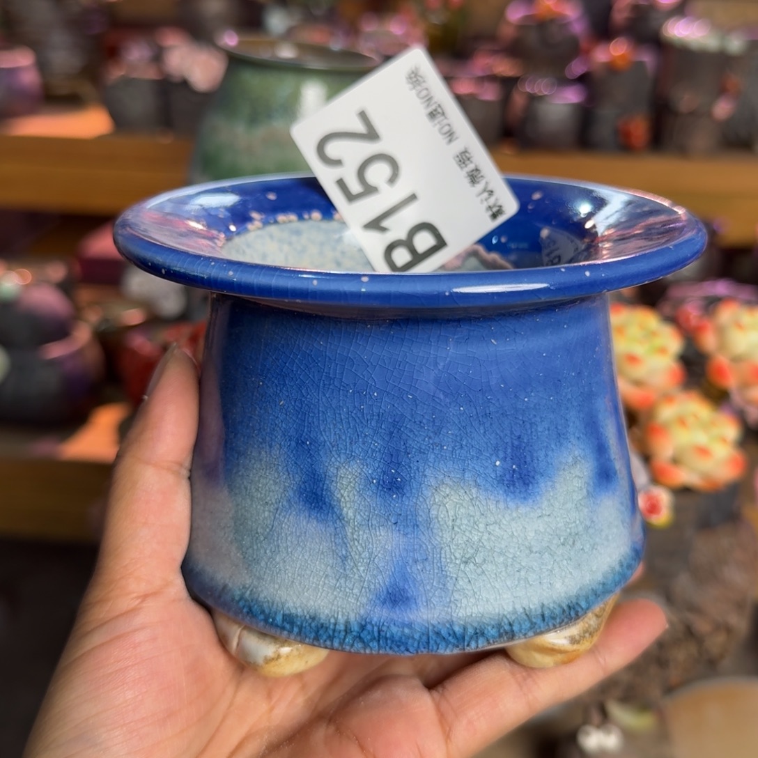 重庆小燕子欢迎大家152