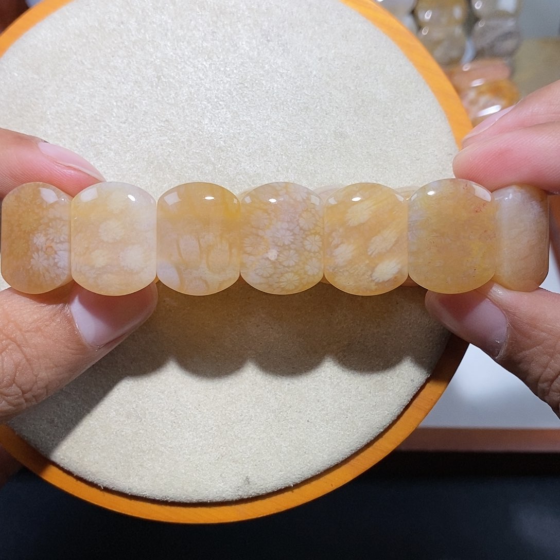 硅化珊瑚（珊瑚玉）手串未镶嵌冰雏菊16