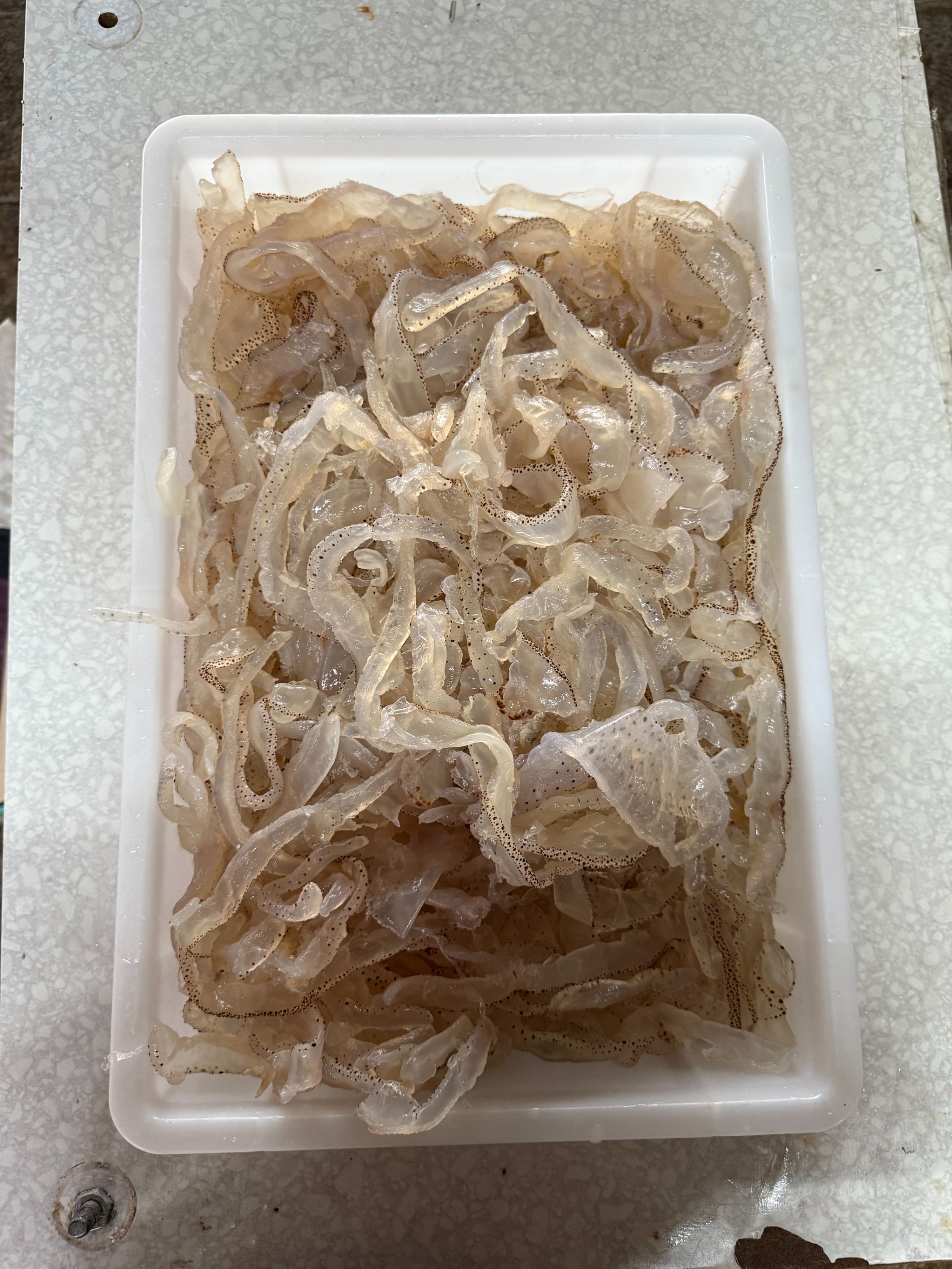 辽宁营口纯野生珊瑚海蜇丝