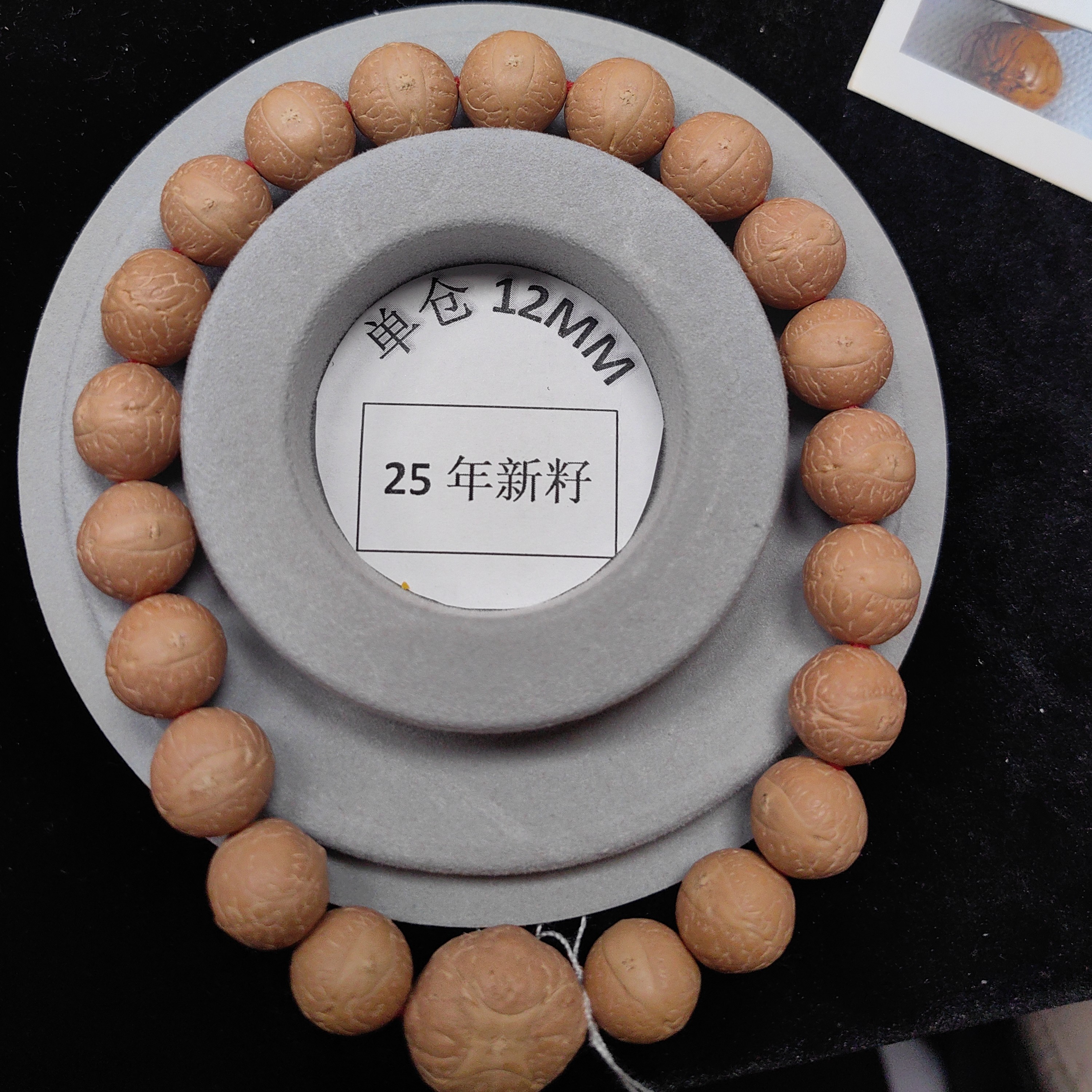 尼泊尔凤眼菩提高品质12单仓超厚皮壳