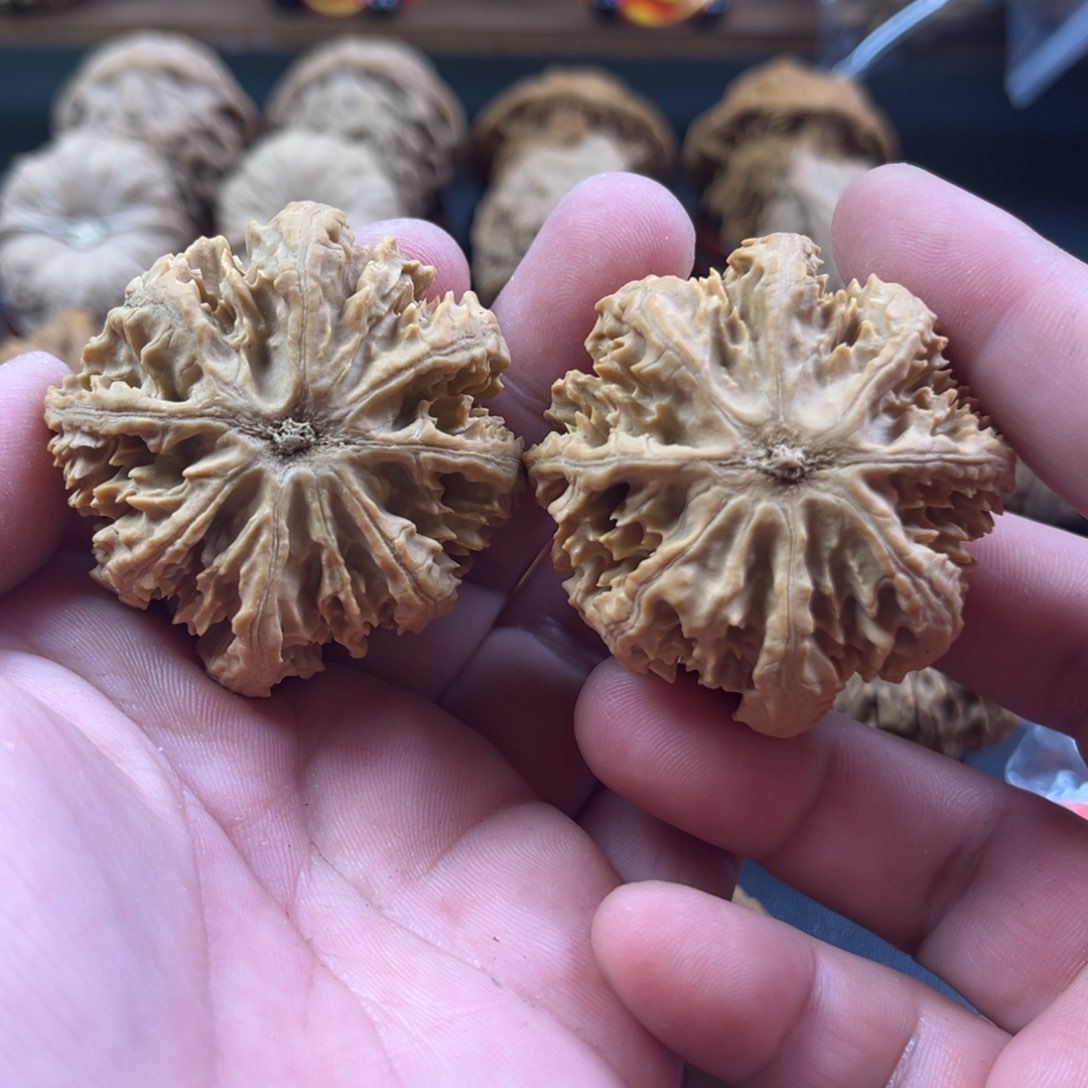 文玩核桃把件秦*秦岭西瓜灯笼八愣