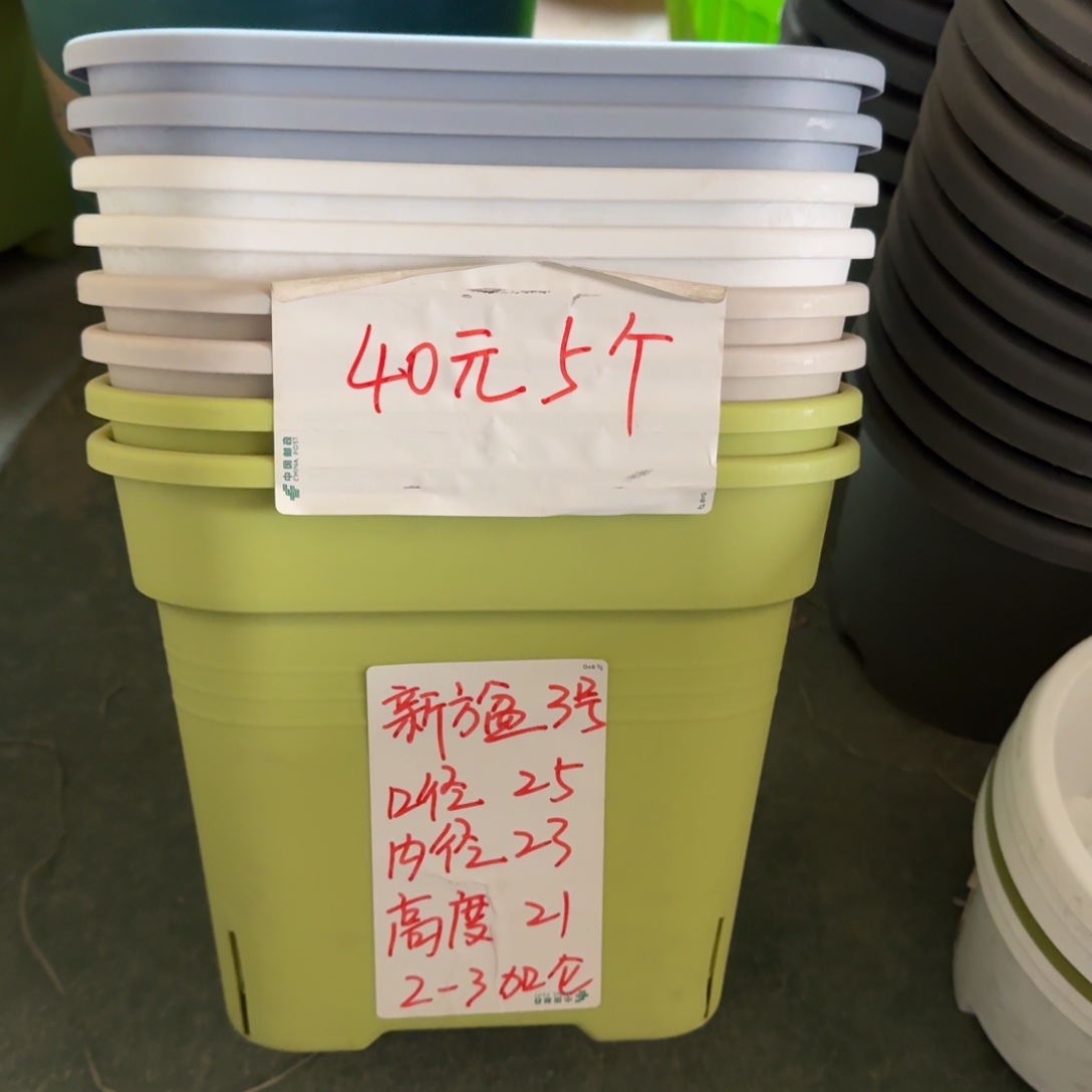 新款方盆口径25无拖果绿5个