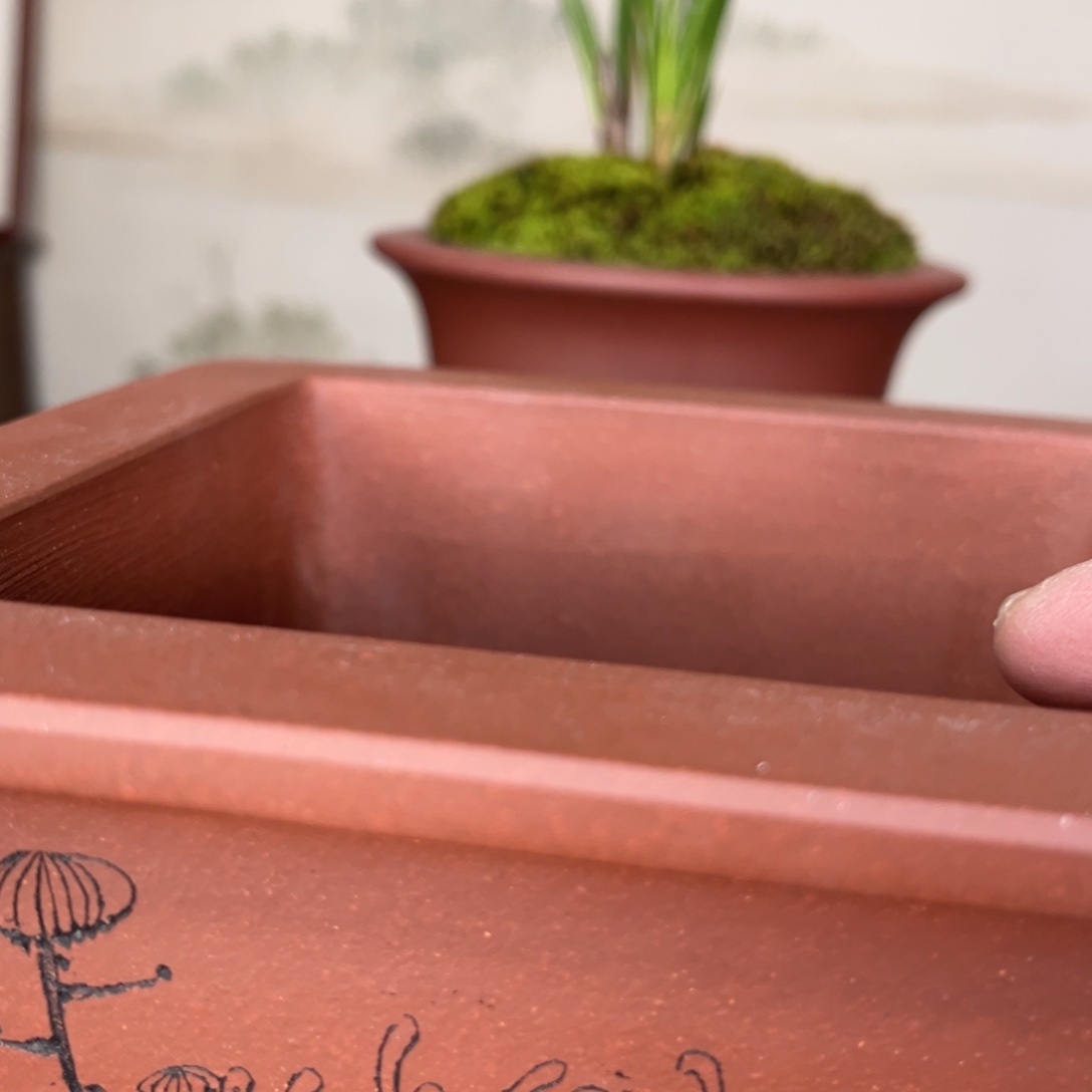 紫砂英**色高温正宗手工花盆