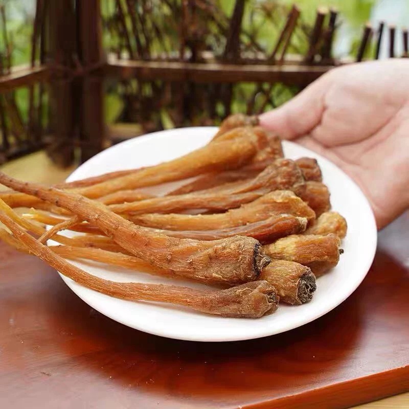 小阿妹家的高山【藏王参】500克 龙少专属29