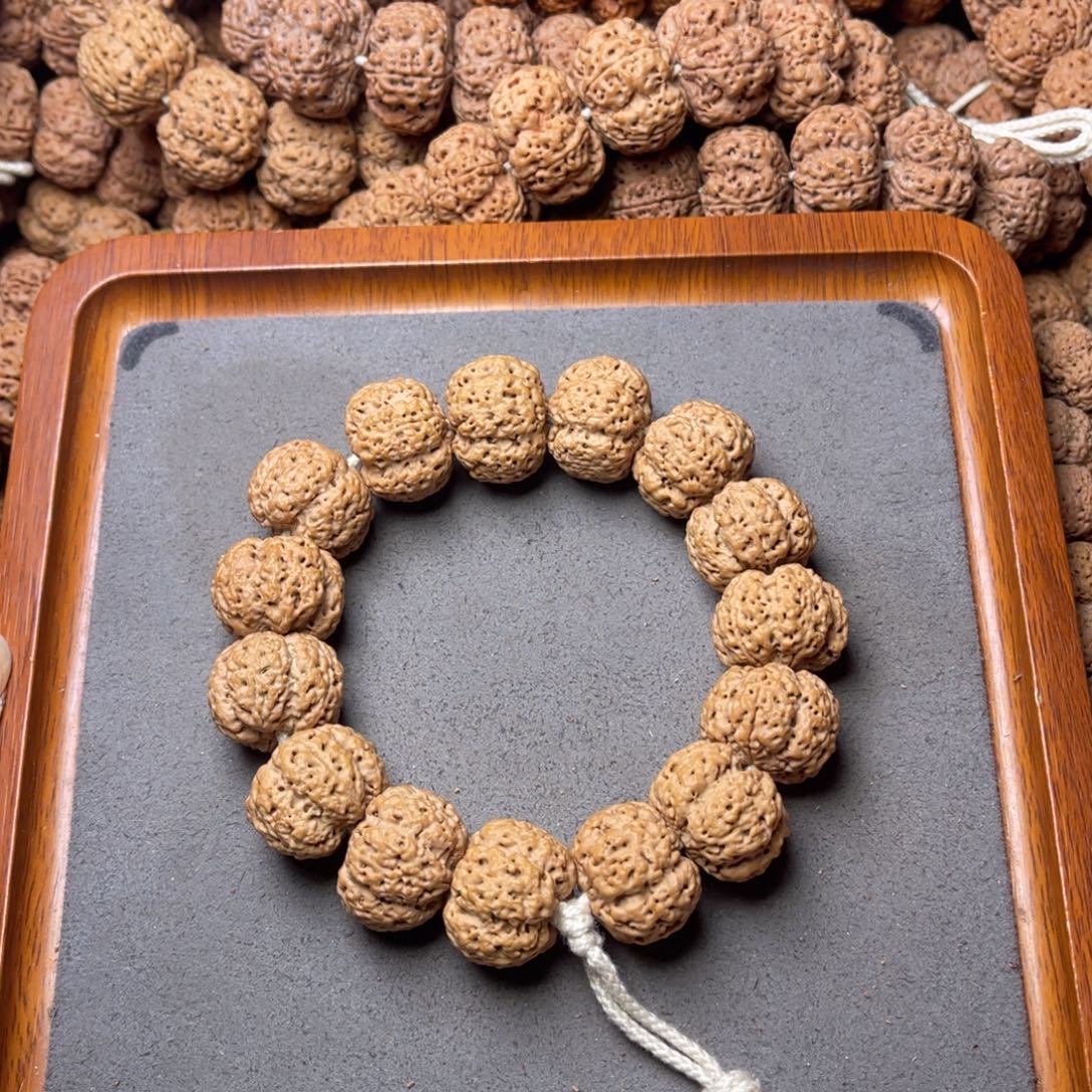 菩提籽类24号金刚菩提爆肉梁梅花22