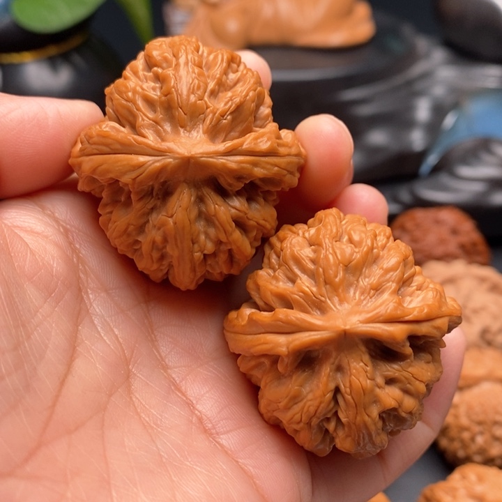 文玩核桃把件毕业红锦鲤42尺