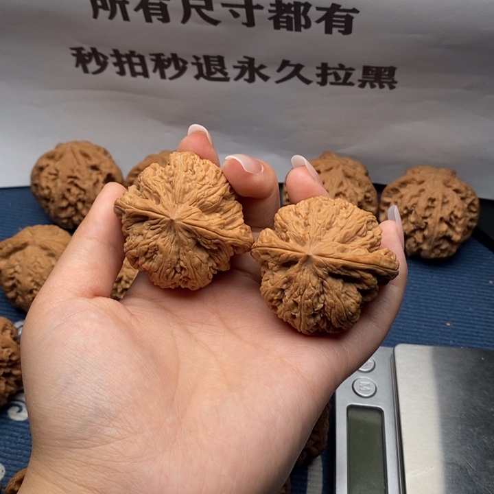 牛***核桃粗筋全品48。5