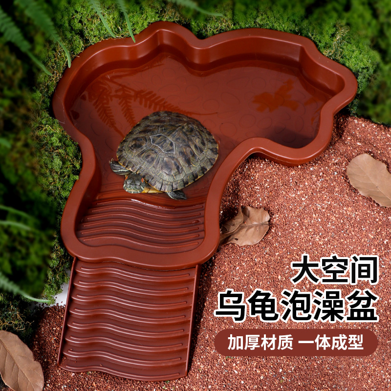陆龟泡澡盆半水龟黄缘喂水乌龟晒台龟盆水陆两用防摔坏乌龟洗澡盒
