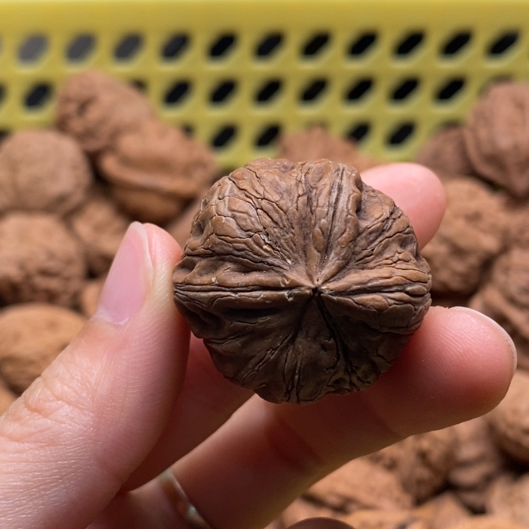 你***蟆核桃定制商品不退不换