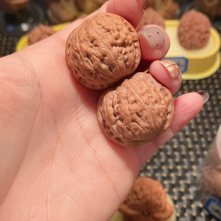 核桃手串/手链31尺寸野生