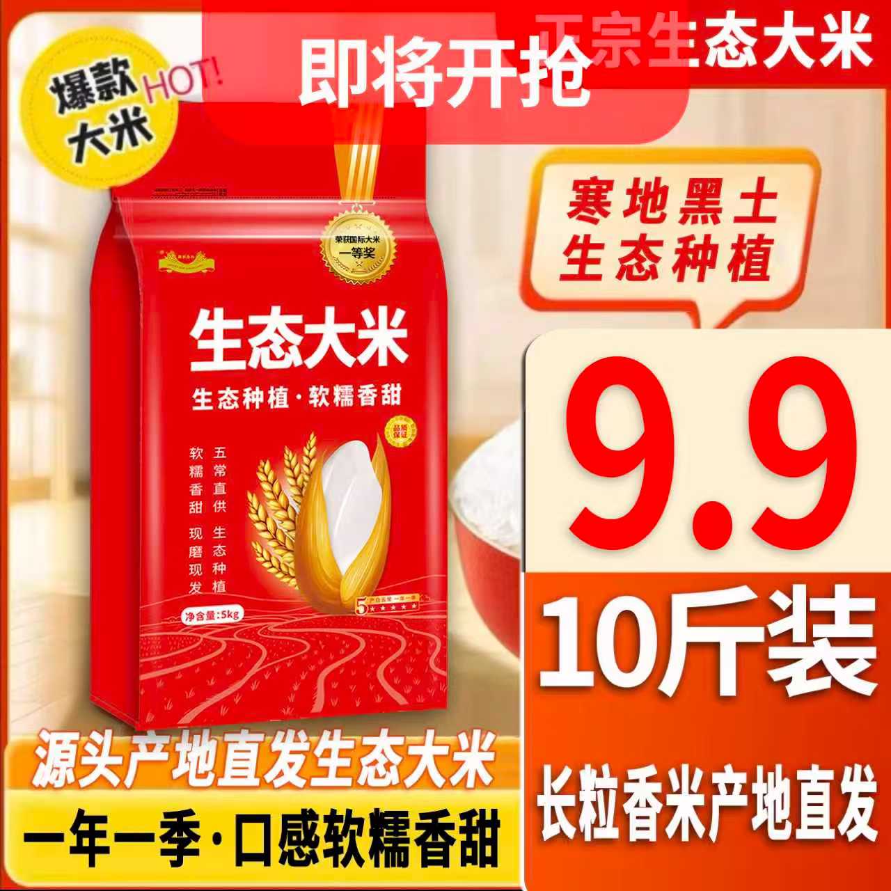 生态大米 产地直供  长粒香米10斤装  本土