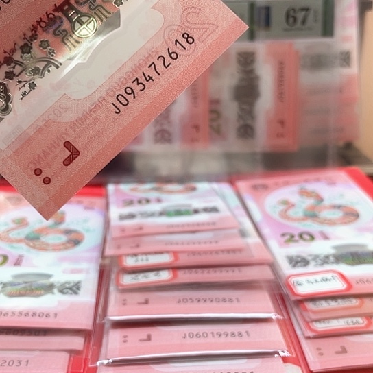 塑料小蛇钞093472618 乱蛇