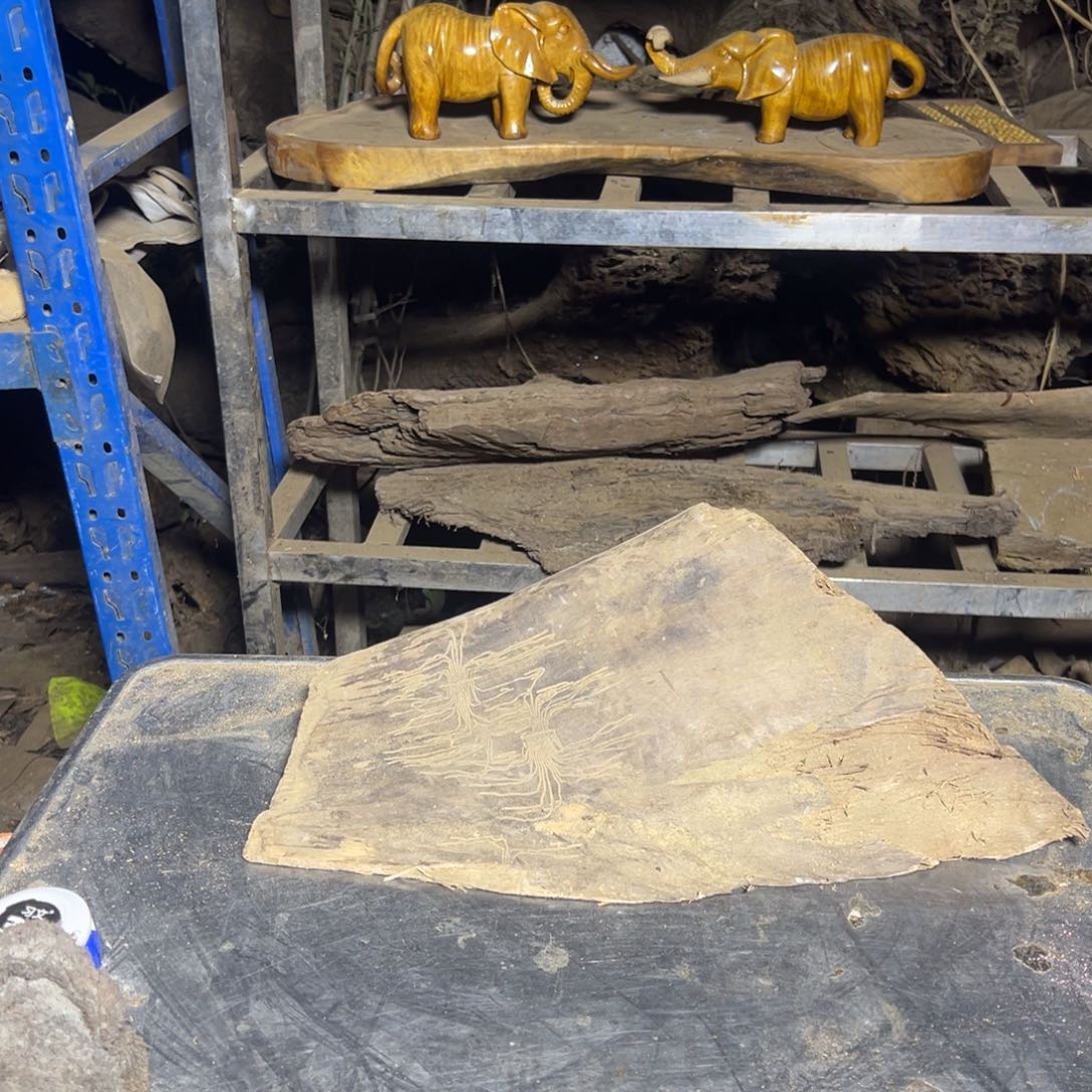 禾***号金丝楠22222222222222222