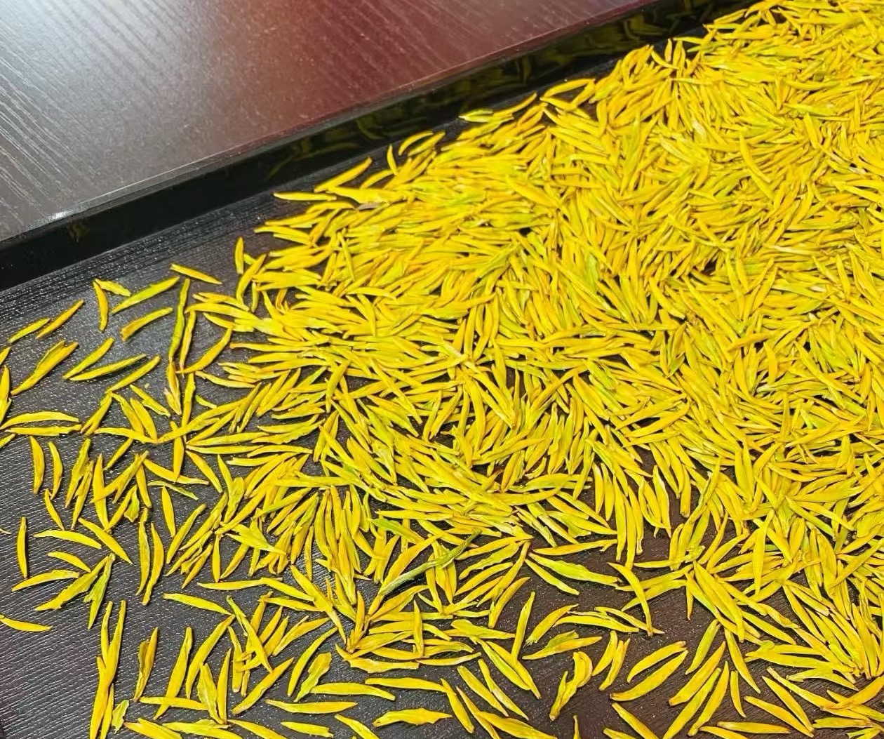 2025年黄金芽支持试喝50克