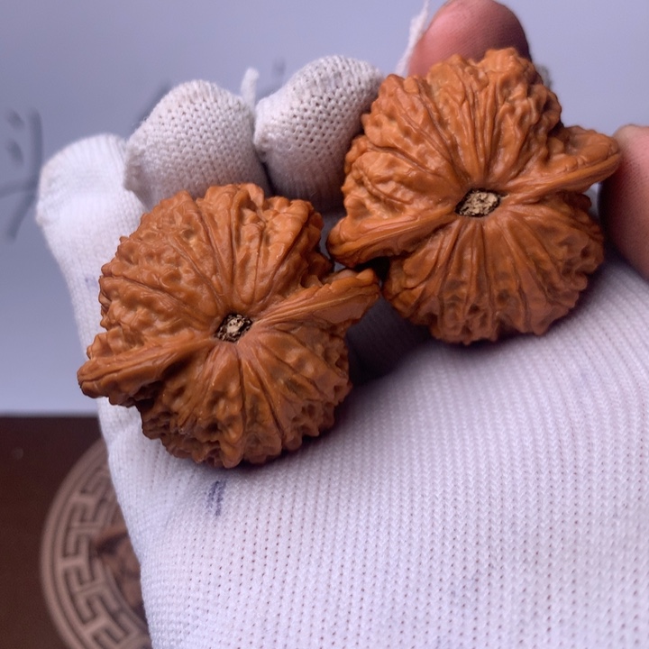 A***理血麒麟之力也在44