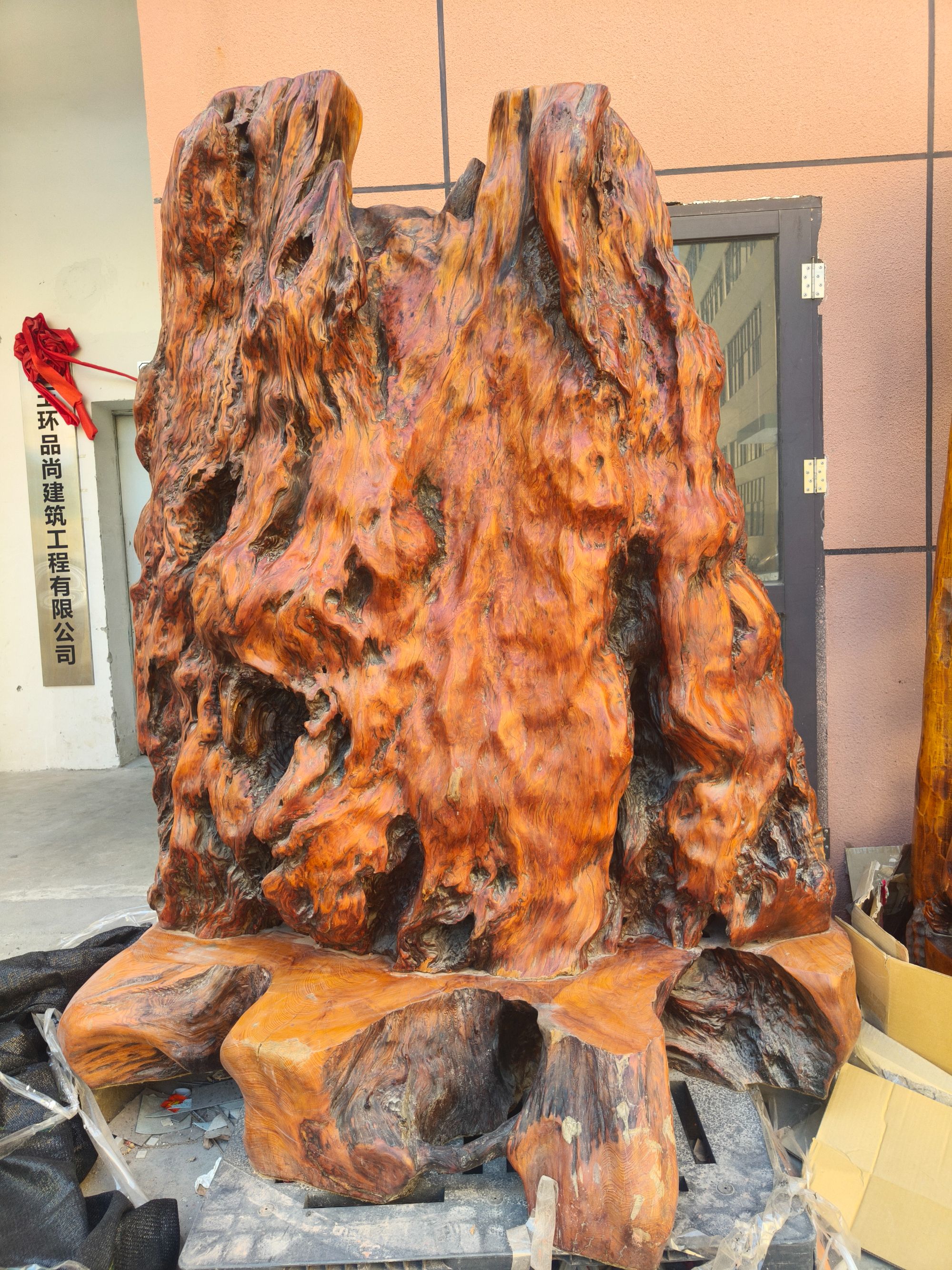 精品百年老树切面摆件