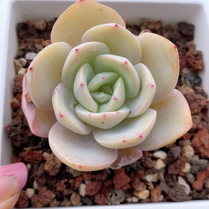 布鲁蓝 韩货精品