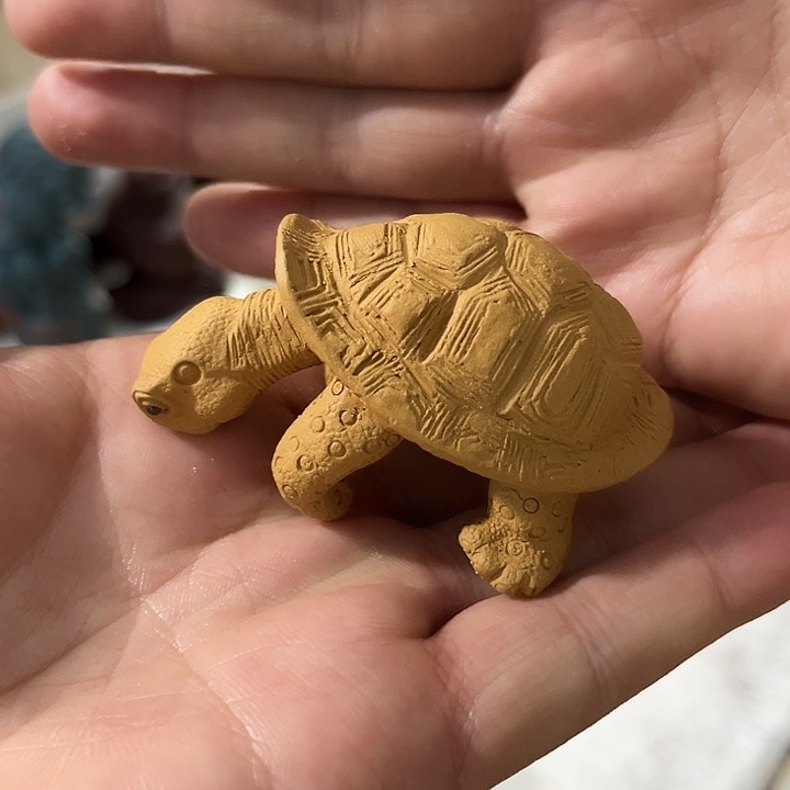 紫砂茶宠空*盒紫砂乌龟