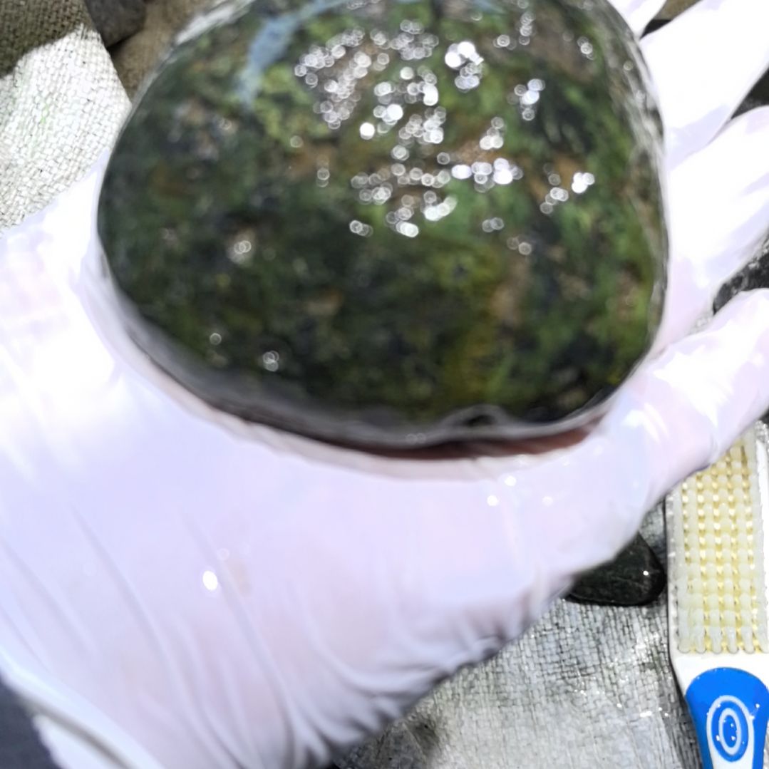 让***然藏玉药王石原石一个摆件一个