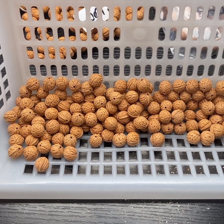 中***袋吊坠桃核散籽发货200