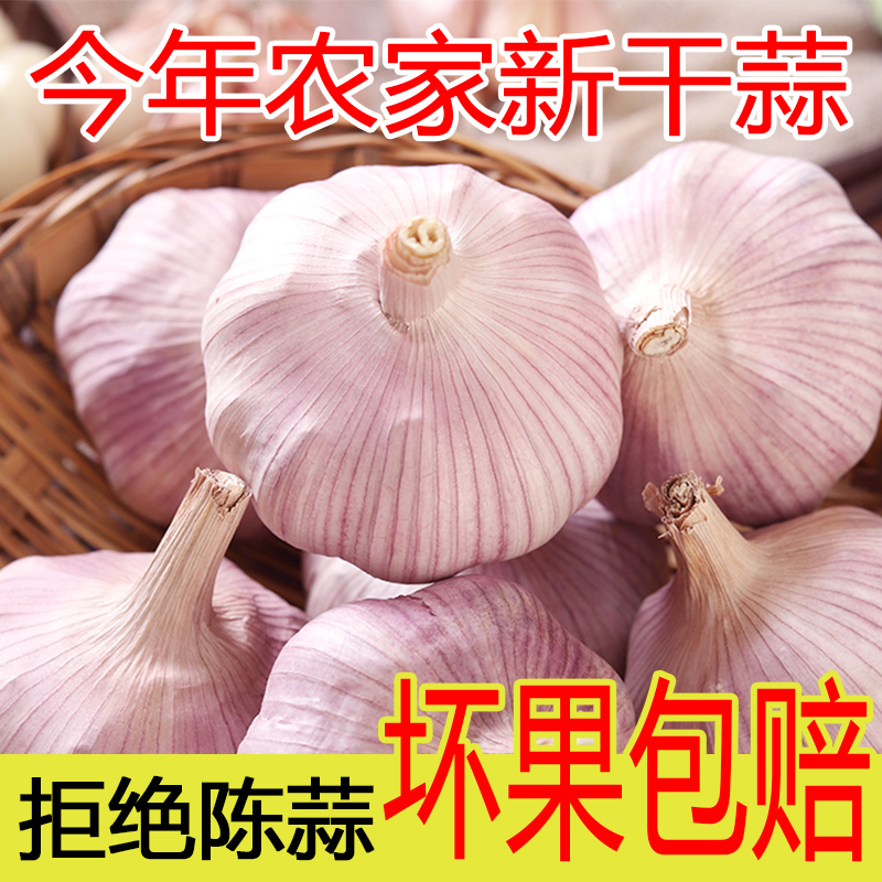 【2025新干蒜】今年农家批发自种干蒜头紫白皮新干蒜辛辣头大蒜