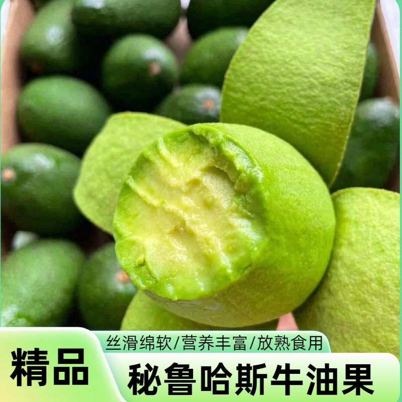 【坏果包赔】秘鲁进口牛油果   顺丰发货/软糯香甜/放熟食用