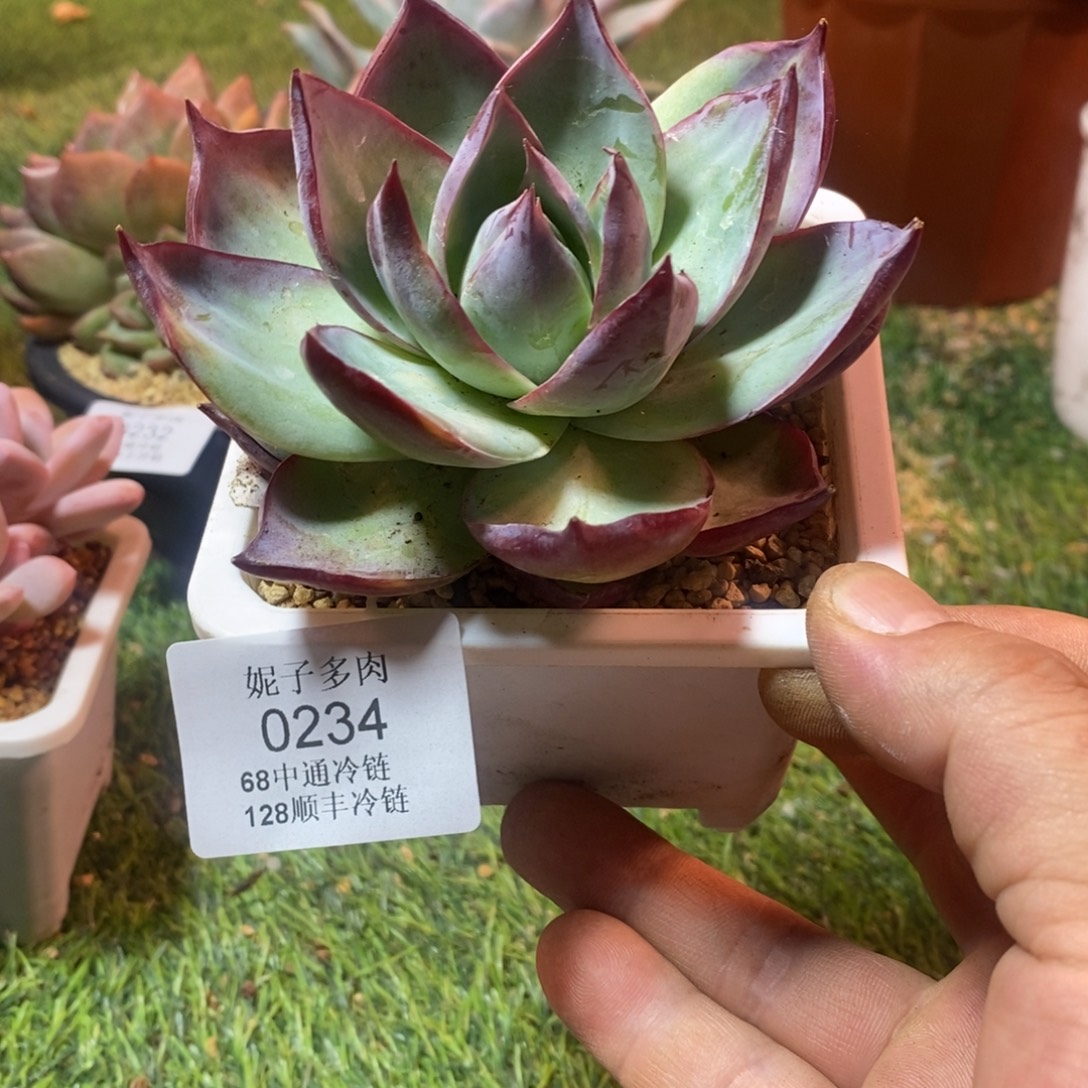 0234啊啊啊啊啊啊啊啊
