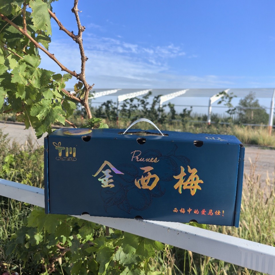 新疆阿克苏黄金西梅 应季现摘顺丰空运