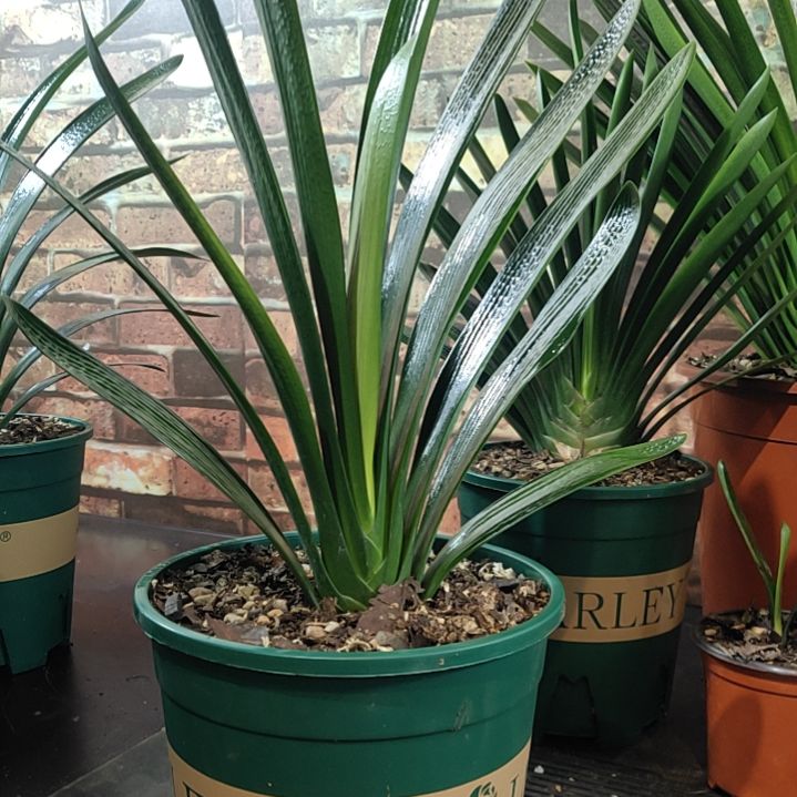 完全开放1111111111