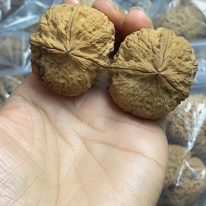 木质类云南铁核桃+13