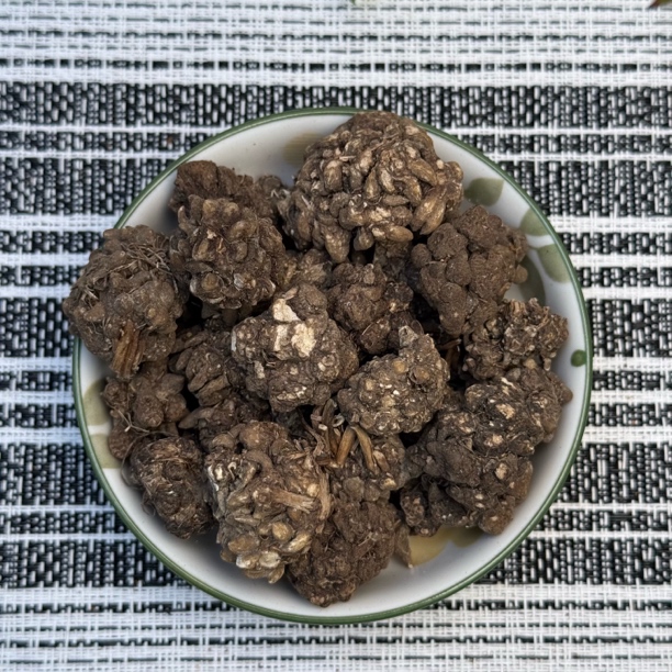 【山地王】猫爪草云南高山集市现收优质滋补健康养生山货土特产