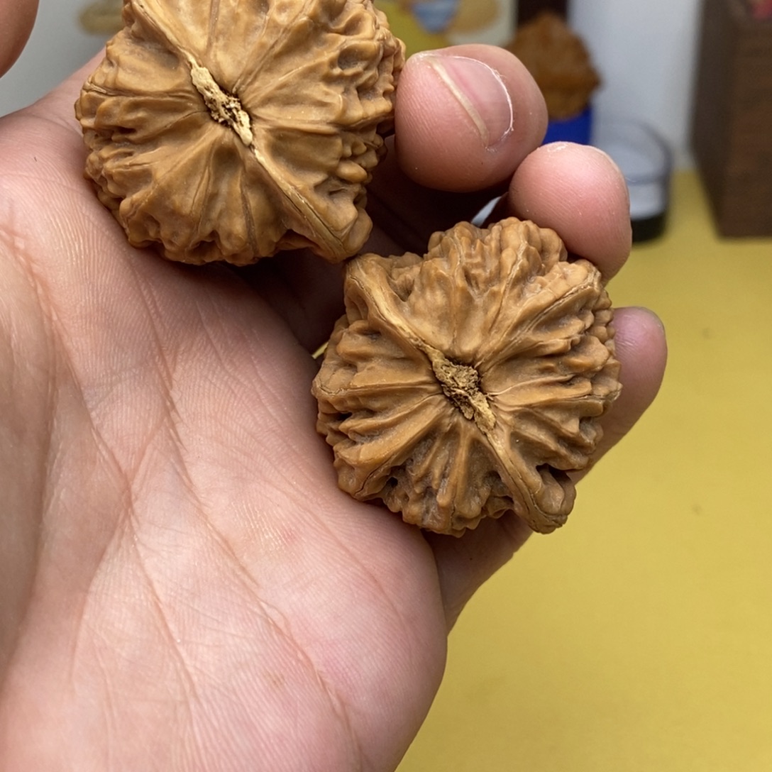 康***仔文玩核桃把件36宫灯